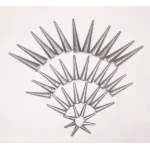 CHÌ NHỌN XUYÊN TÂM