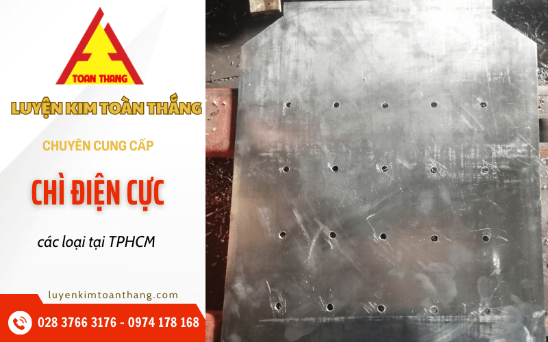 Chì điện cực
